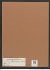 Navicula jentschii Grun. (de-Toni-Nr.: Genus 1, Species 122) Zeichnungen Sammlung Grunow Mappe 00107 (Herbarium_W_Grunow_drawings_Folder_00107)